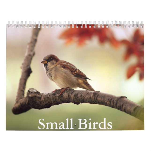 Liten fågelkalender kalender (Omslag)