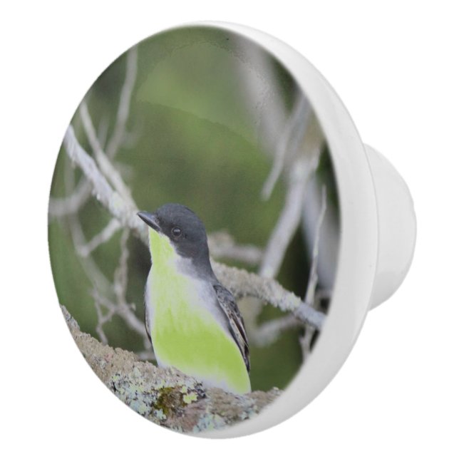 Liten fågellåda Drag Knopp (Höger)