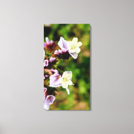 liten flerfärgad blomster vår flora samling canvastryck