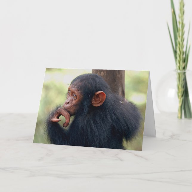 Liten flicka kort (Framsida)