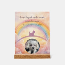 Liten Fluffig Hund Rainbow Bridge Minnesmärke Akry