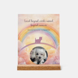 Liten Fluffig Hund Rainbow Bridge Minnesmärke Akry
