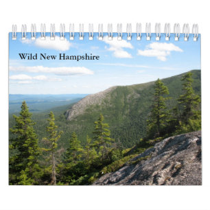 Liten för New Hampshire för vild 2013 kalender