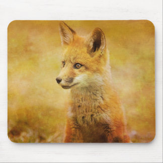 Liten foxmusmatta musmatta