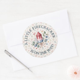 Liten fyrverkeripatriotisk baby shower för 4:e jul runt klistermärke