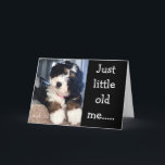 LITEN GAMLA MIG SOM ÖNSKAR DIG LYCKLIG **70th**-ko Kort<br><div class="desc">Denna ADORABLE-VALP vill önska din vän eller släkting en 70:e LYCKLIG - vilket resultat i deras liv! TACK för att jag stannade i en av mina åtta butiker!</div>