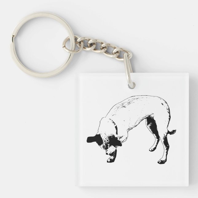 Liten Glädje Terrier (Framsidan)