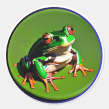 Liten grön groda på en näckrosblad #3