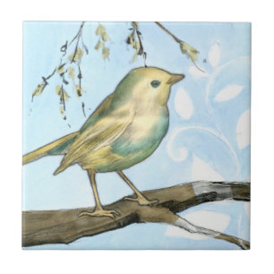 Liten Gult Bird Pery på ett Gren Tittar Kakelplatta