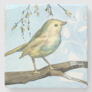 Liten Gult Bird Pery på ett Gren Tittar Stenunderlägg