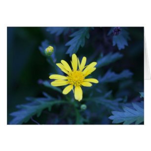 liten gult blomma hälsningskort