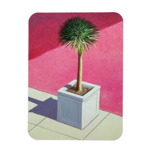 Liten handflatan 1995 magnet