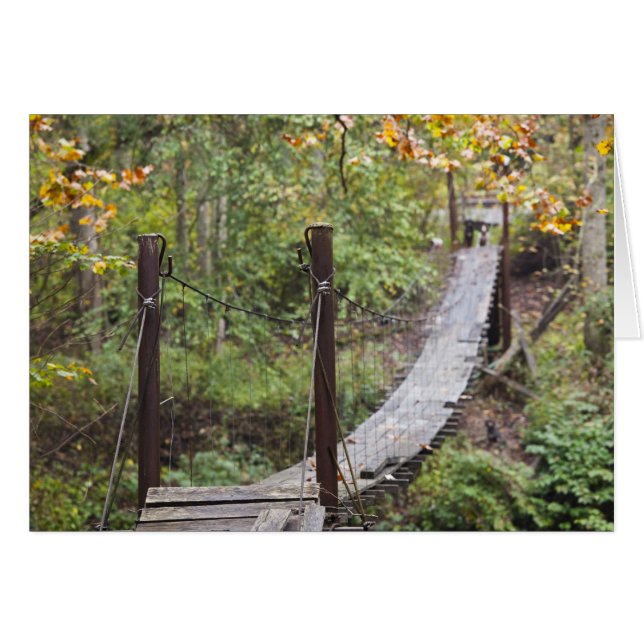 Liten hängbro, nationellt kustarv hälsningskort (Framsidan Horizontal)