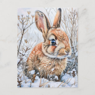 Liten hare i snöfält. Kanin Vykort