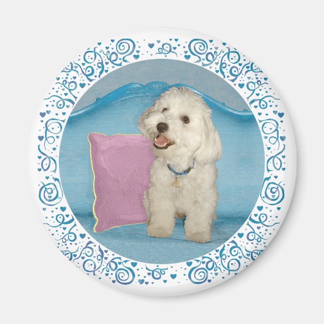 Liten Havanese på turkos soffa Magnet (Framsidan)