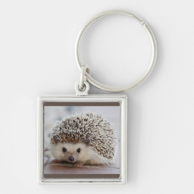 liten hedgehog-nyckelkedja fyrkantig silverfärgad nyckelring (Framsidan)