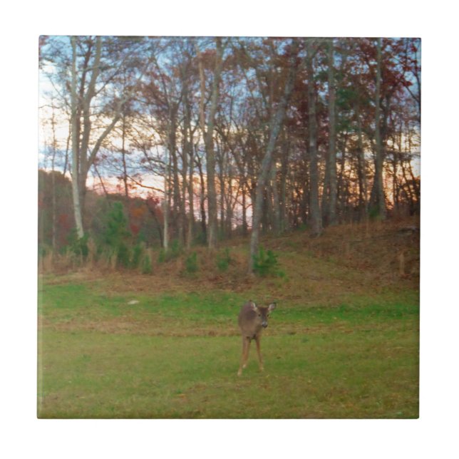 Liten Hjort&a Rosa Sunset Kakelplatta (Framsidan)