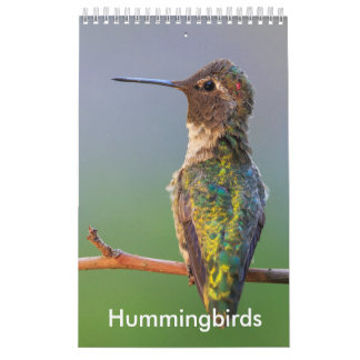 Liten Hummingbirdkalender Kalender