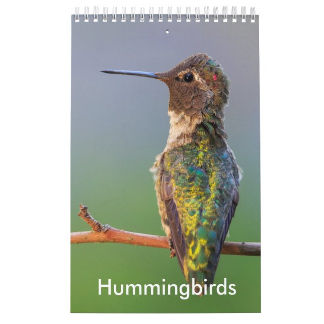 Liten Hummingbirdkalender Kalender (Omslag)