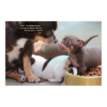 Liten Hund-familj på middag