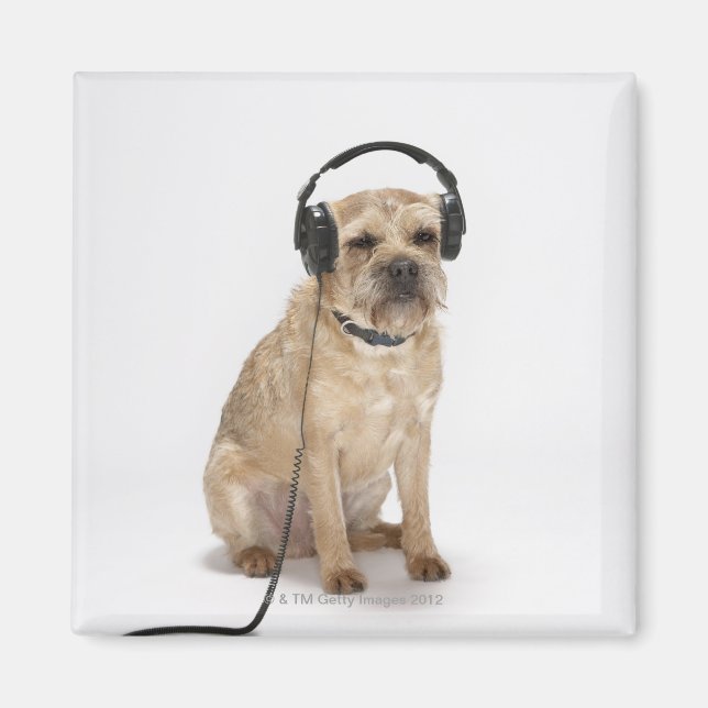 Liten hund med hörlurar magnet (Framsidan)