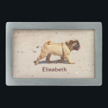 liten hund pug baby som spelar bälte<br><div class="desc">kleiner hund am strand</div>