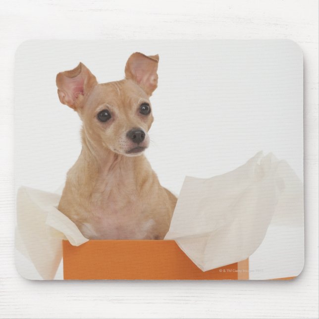Liten hund sitta i presentlåda musmatta (Framsidan)