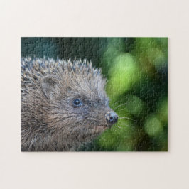 Liten igelkott pussel