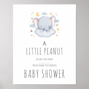 Liten Jordnöt Baby Shower Skylt – Pojke