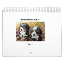 Liten kalender för Berner nationBabes 2017