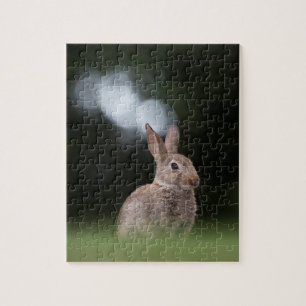 Liten kanin naturfoto pussel