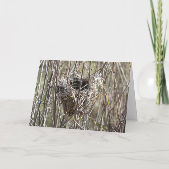 Liten kapsla kort (Framsida)