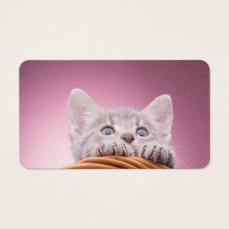 Liten katt visitkort