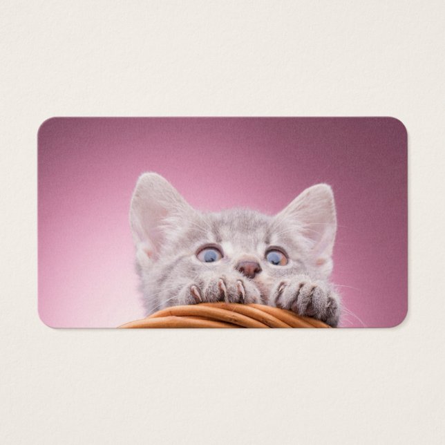 Liten katt visitkort (Framsidan)