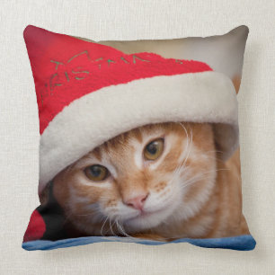 Liten kattunge i röd julhatt kudde