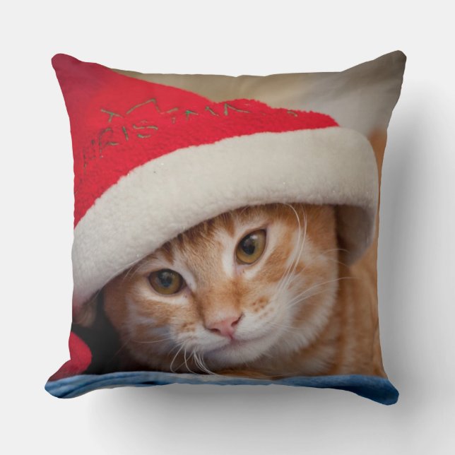 Liten kattunge i röd julhatt kudde (Framsida)