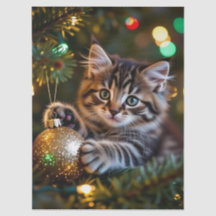 Liten kattunge på julgran
