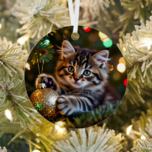 Liten kattunge på julgran Personlig