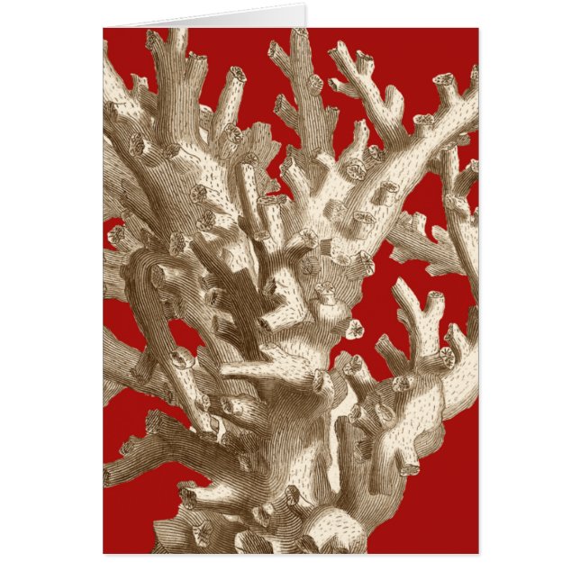 Liten korall i rött hälsningskort (Framsidan)