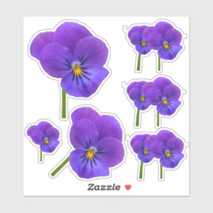 Liten Lila Pansies Association Klistermärken