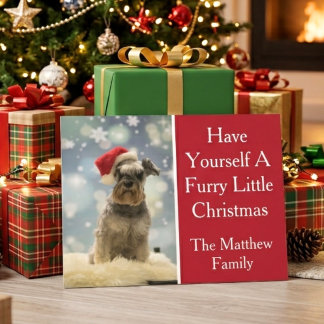 Liten lurvig jul familj hund foto helg vykort