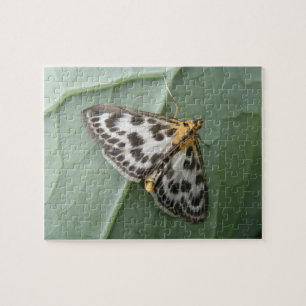 Liten magpie Moth Puzzle Pussel