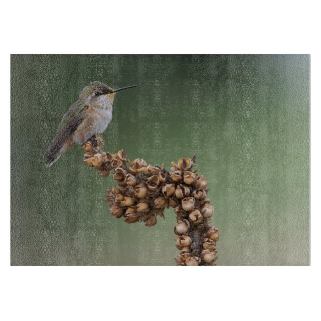 Liten Orange Hummingbird (Framsidan)