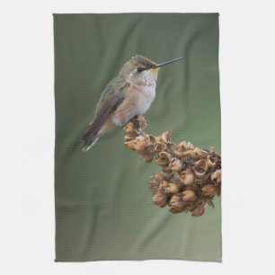 Liten Orange Hummingbird Kökshandduk