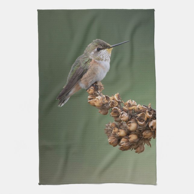 Liten Orange Hummingbird Kökshandduk (Vertikal)