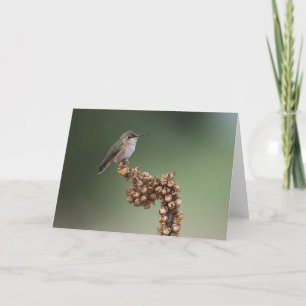 Liten Orange Hummingbird Kort