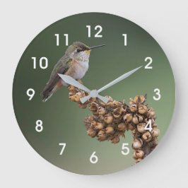 Liten Orange Hummingbird Stor Klocka