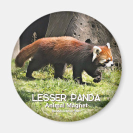 Liten panda magnet