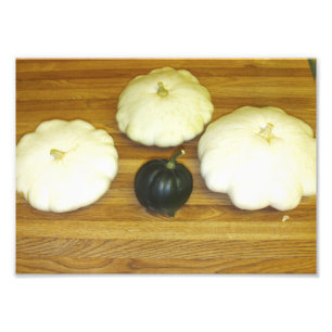 Liten pastej panorerar squash och ekollonsquash fototryck