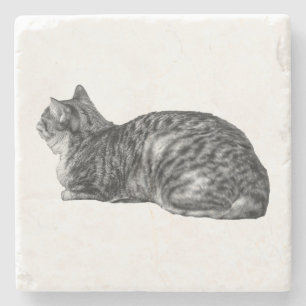 Liten paus, Tabby Poise Stenunderlägg